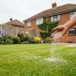 The Biggest Lawn Care Lie Everyone Believes