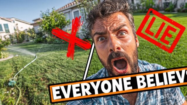 Lie Number One : You need to water your lawn every day